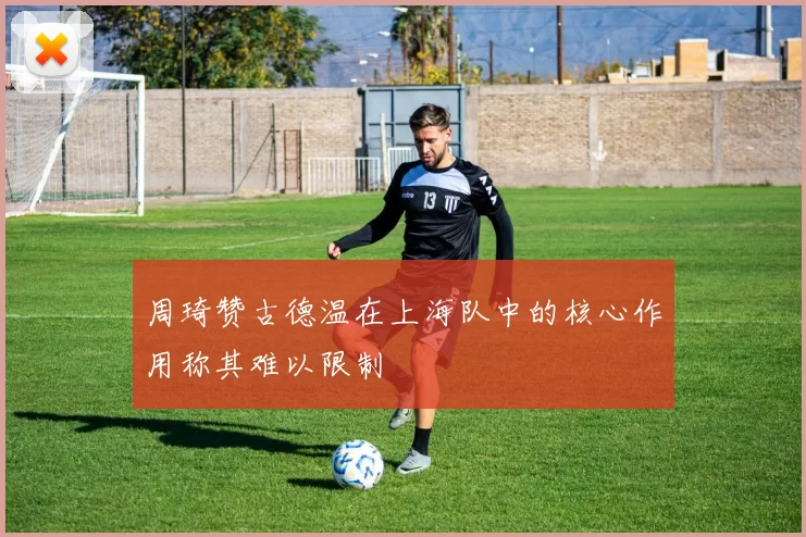 周琦赞古德温在上海队中的核心作用称其难以限制
